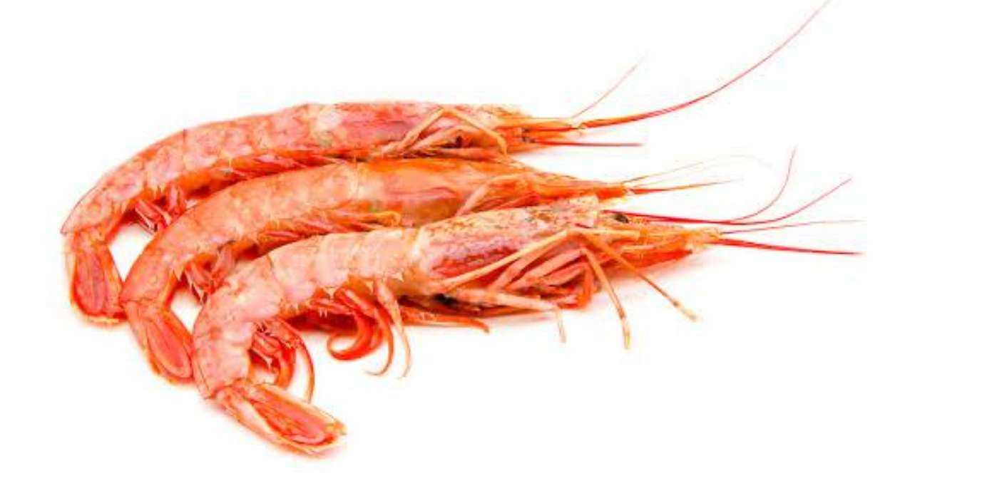Crevettes fraîches 500 g