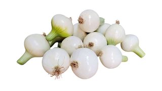 Luk srebrenjak 0.5 kg