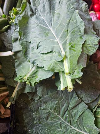 Rastika 1kg