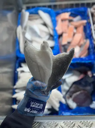 Filetti di Orata del Mediterraneo - 500gr sfusi