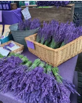 Buchet Lavandă