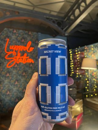 Rebel's - Secret View