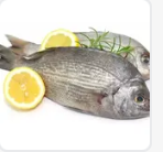 Dorade Sauvage – 1 kg