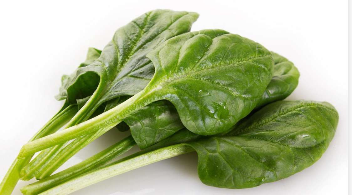 Épinards verts