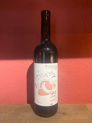 კოხტა ღვინო - რქაწითელი 2021 ბიო