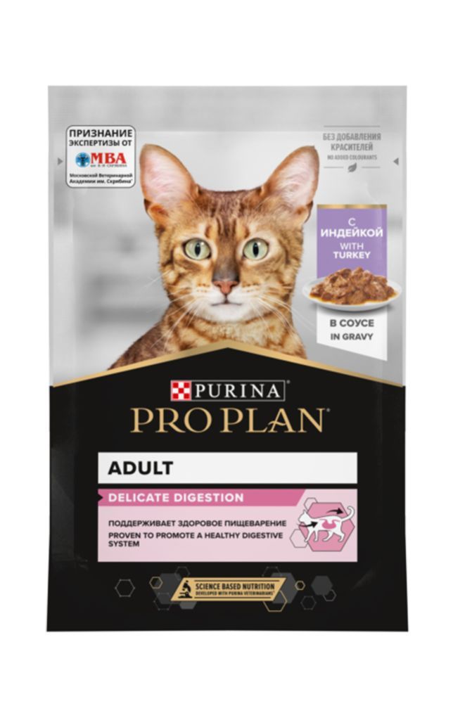 სველი საკვები კატის