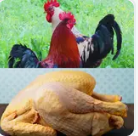 Poulet Fermier – 1 kg