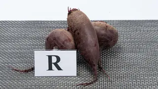 Cvekla 0.5 kg