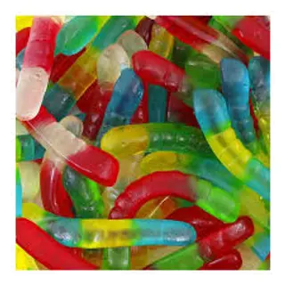 VRAC FINI Vers de terre lisse 100g