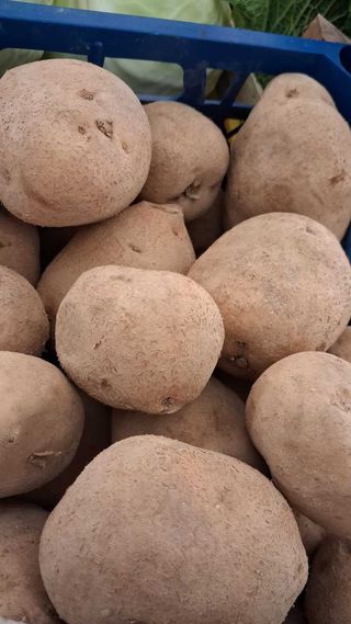 Žuti stari krompir iz trapa 1kg