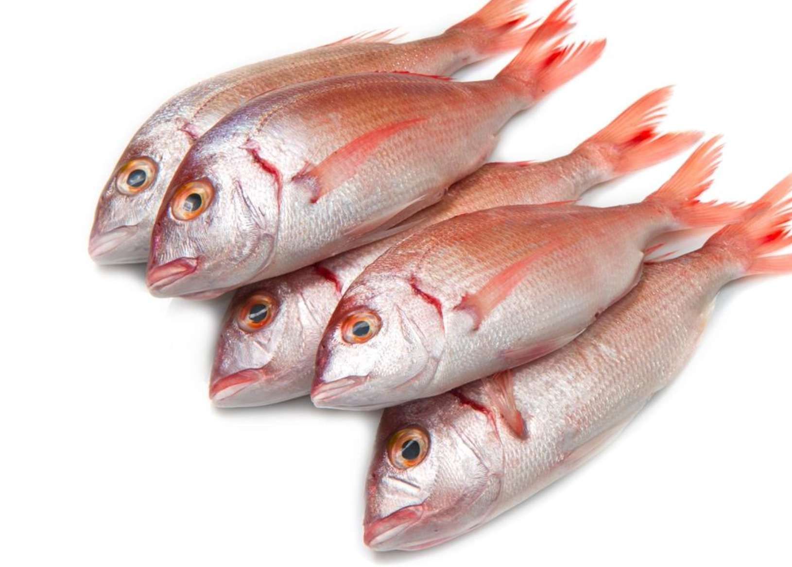 Pagoet Petit 1 kg