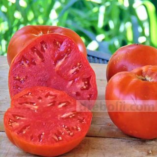 Червен домат едър