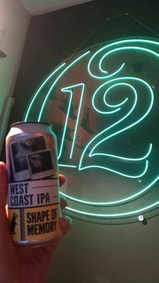 Wild Raccoon - Shape Of Memory