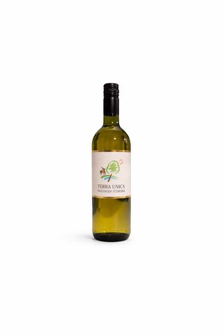 Malvazija Terra Unica Bijelo Vino 0,75 l