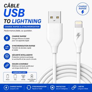Cable chanson usb to lightning