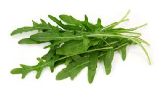 Roquette verte
