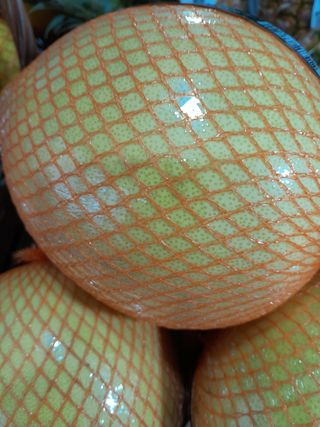 Pomelo 1 komad