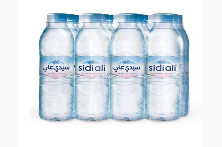 Sidi Ali Eau Minérale 33 cl