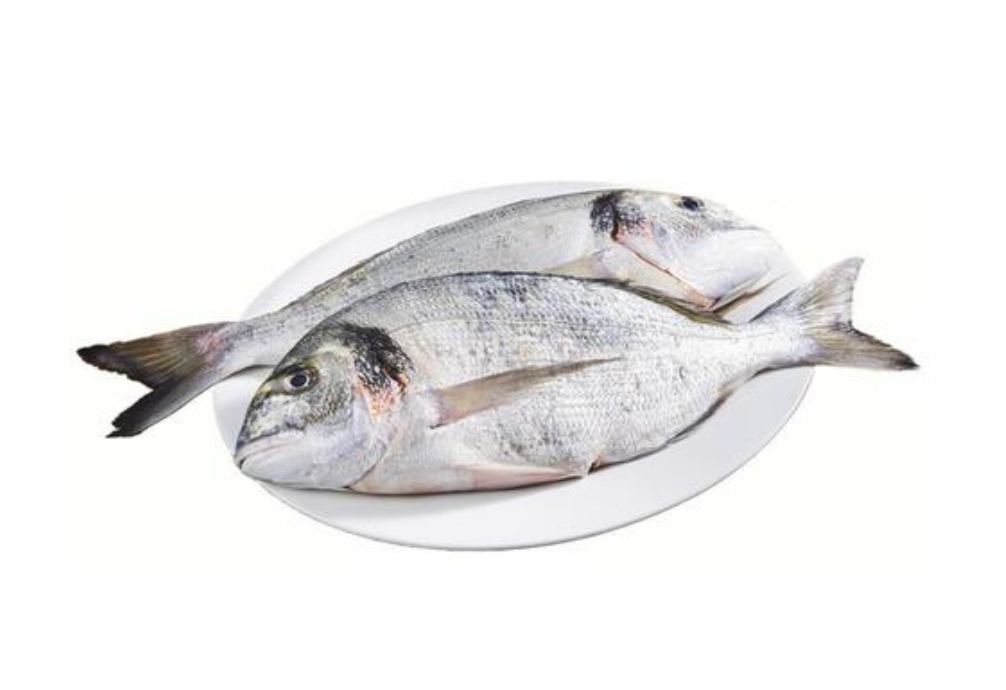 Dorade Sauvage 3 kg