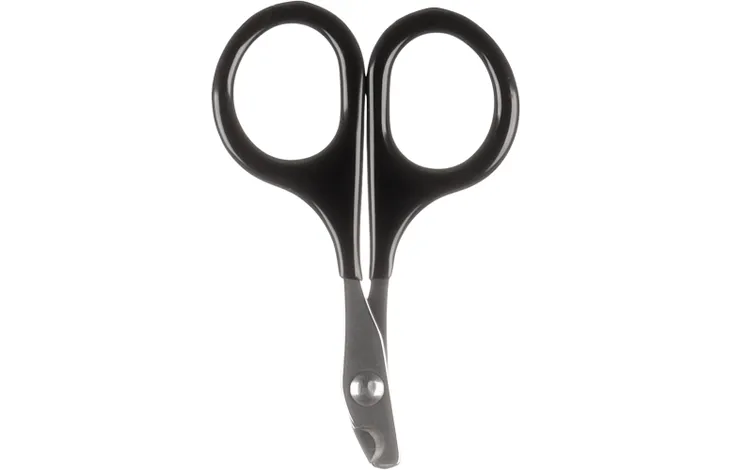 Laits et Alimentation Chiens