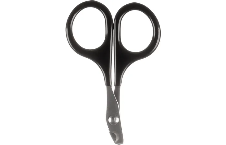 Laits et Alimentation Chiens