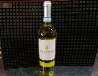 CUSTOZA il pozzo