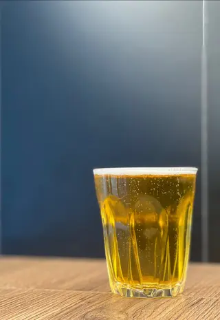 CZECH Lager NaturAle 1l