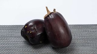 Plavi patlidzan 0.5 kg