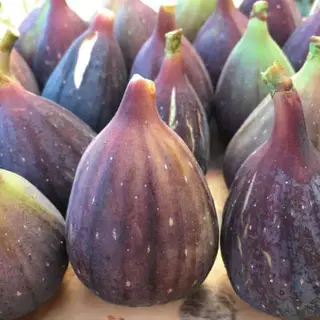Figue noire premium (100% sélectionnée) par kg