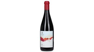 Shengeli - Syrah