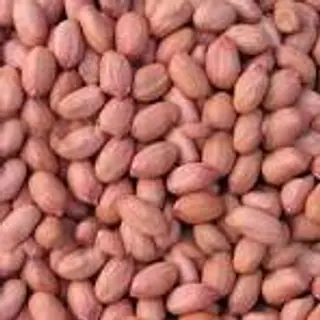 Roasted groundnuts