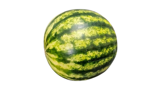 Mini lubenica